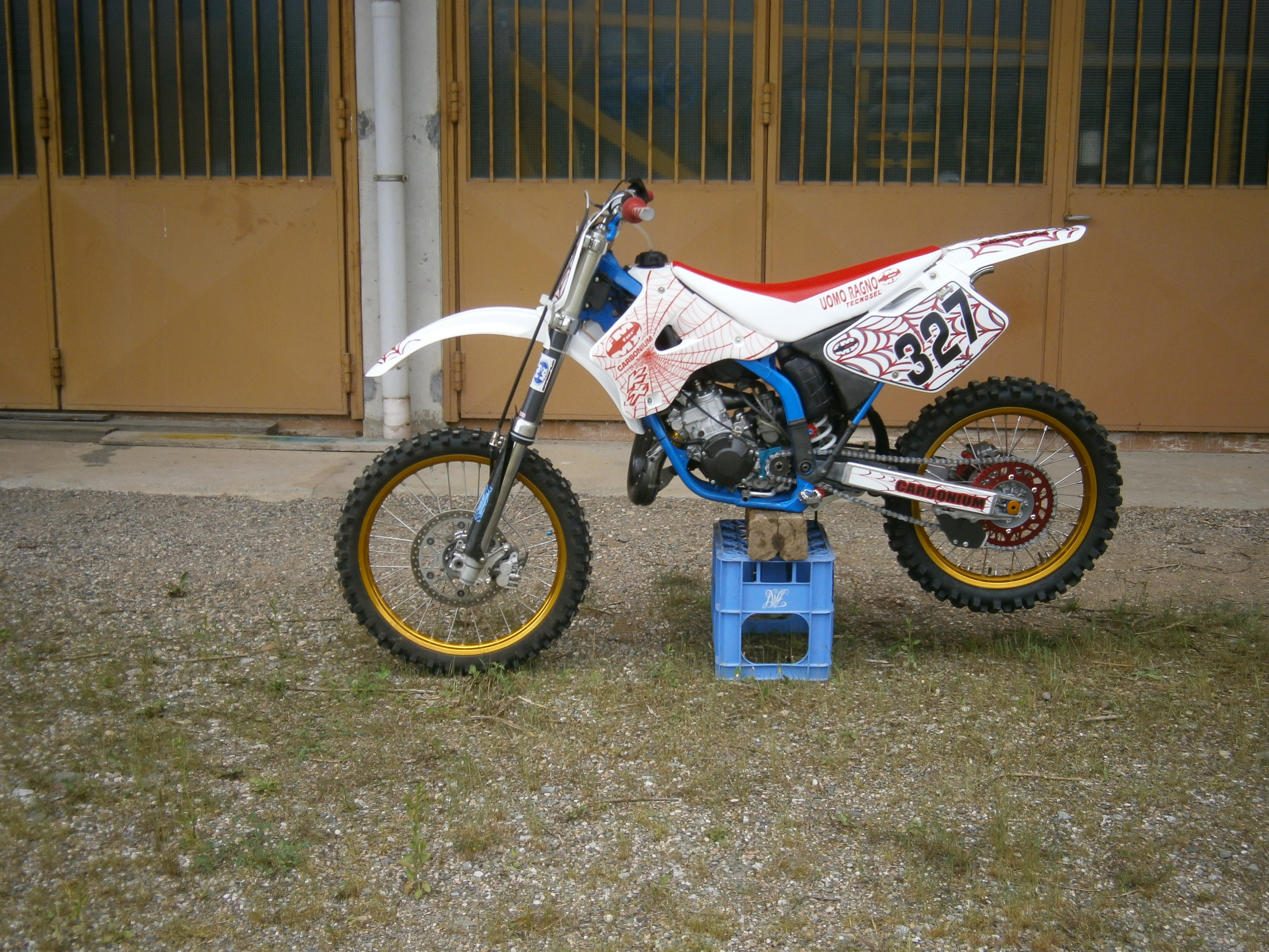 Regina della vetrina FMFMX